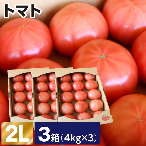 トマト 2L 3箱(1箱あたり4kg 約14〜15玉)