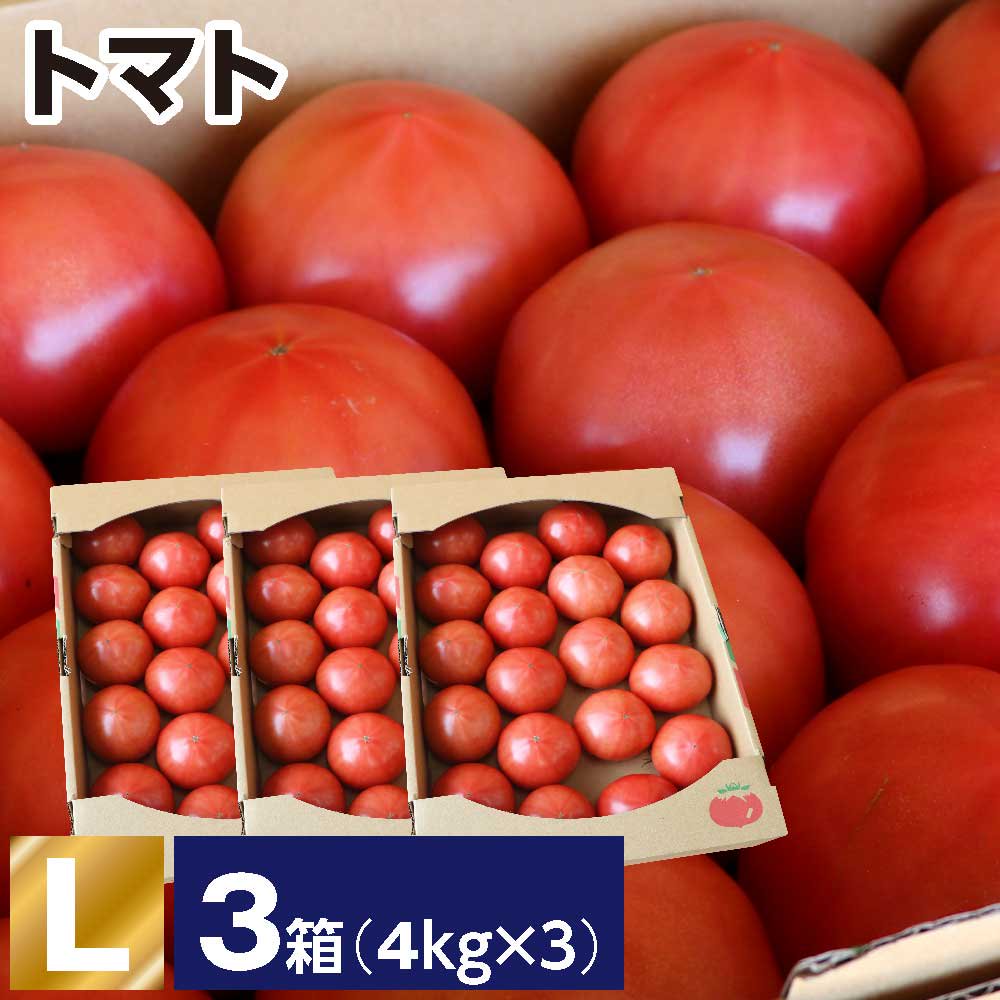 トマト L 3箱(1箱あたり4kg 約18～20玉) - JAしもつけ青果店 - JAしも