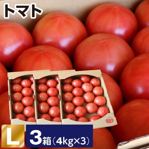 トマト L 3箱(1箱あたり4kg 約18〜20玉)