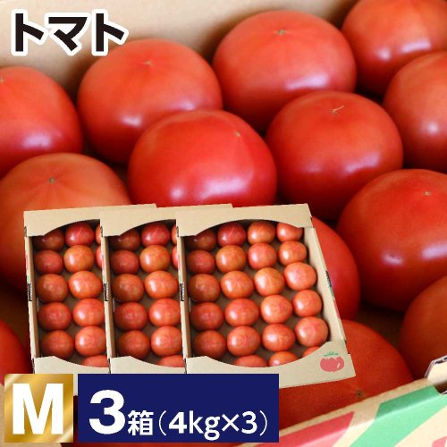 トマト M 3箱(1箱あたり4kg 約24玉)