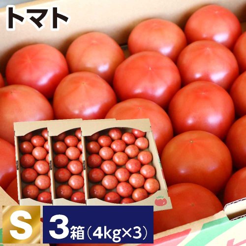 トマト S 3箱(1箱あたり4kg 約28玉)