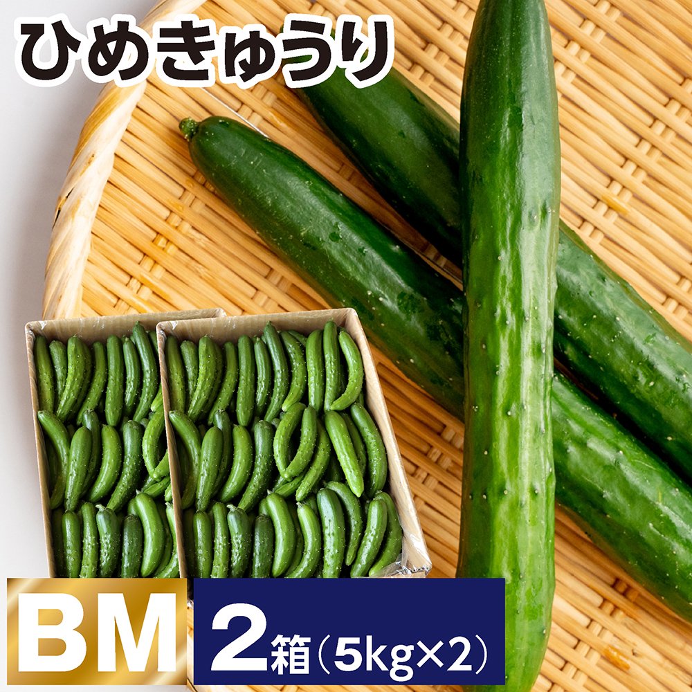 ひめきゅうり BM 2箱(1箱あたり 5kg) - JAしもつけ青果店 - JAし