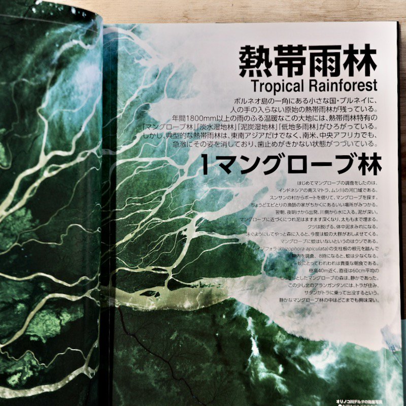 世界の森大図鑑―耳をすませ、地球の声に 山田 勇(新本 30%off