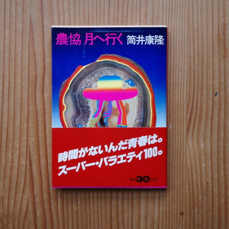 夢の木坂分岐点 - 文学・小説