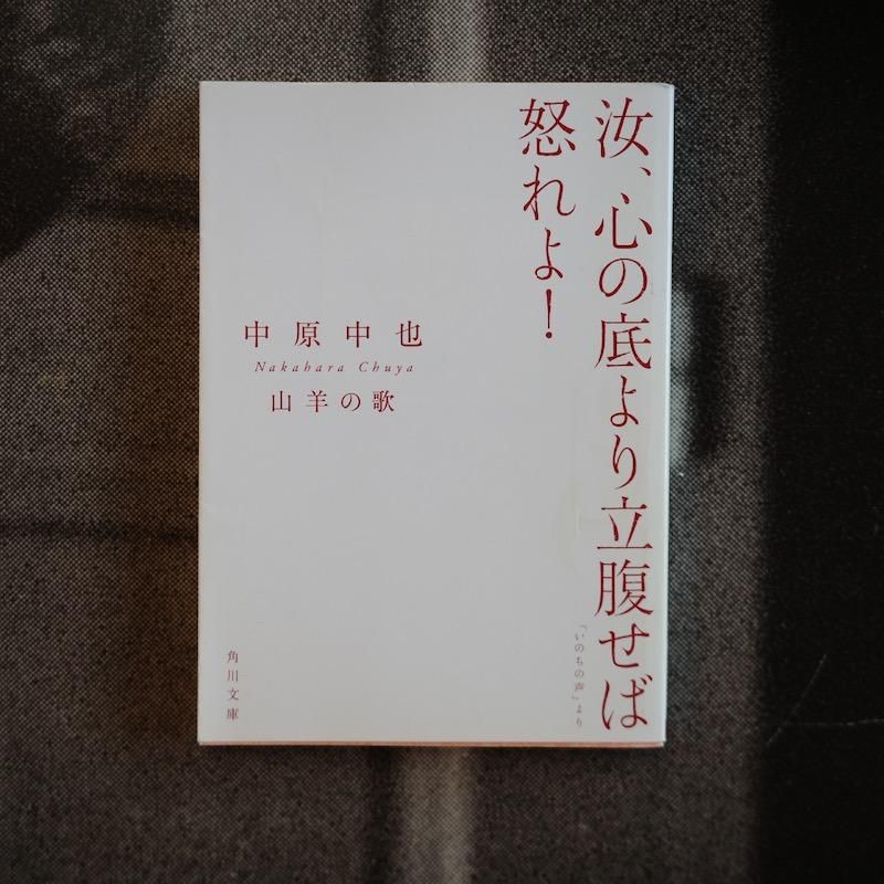 山羊の歌 中原中也詩集 | 抒情性と宇宙感覚が詩に結晶した作品 - BACKWOOD