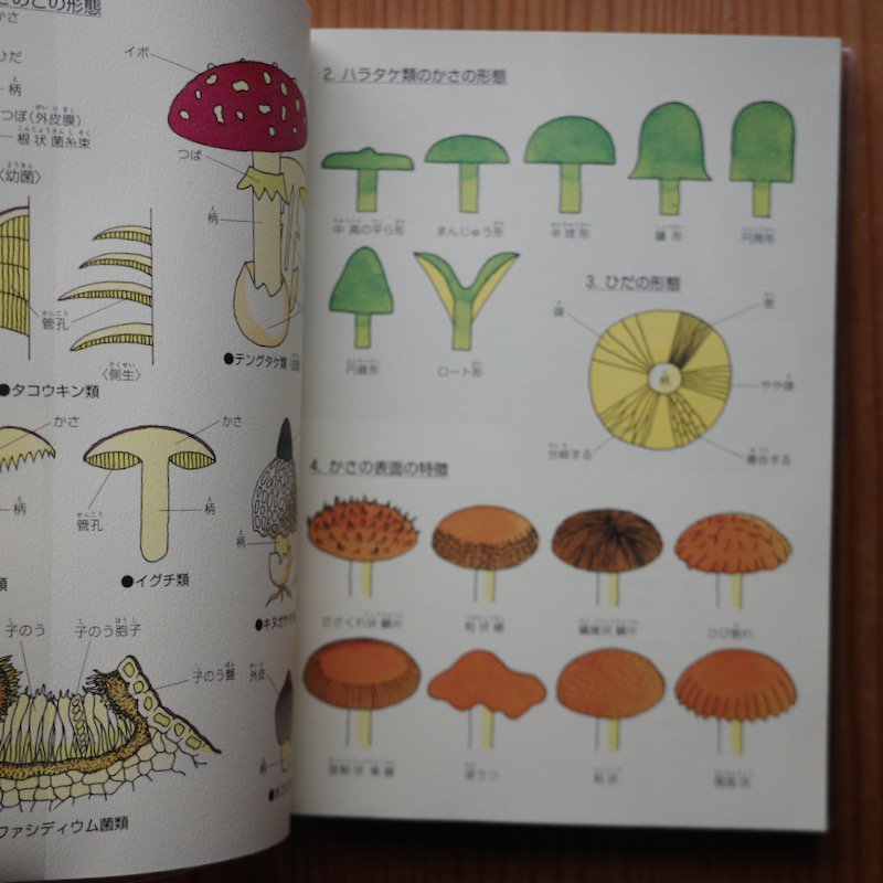 新装改版 北海道きのこ図鑑 | 新品 絶版本 - BACKWOOD