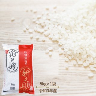 新潟産 新之助 5kg 特別栽培米 送料無料