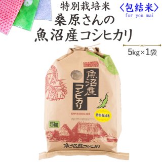 【包結米】ちょっとおしゃれな贈り物　桑原さんの魚沼産コシヒカリ5kg 送料無料