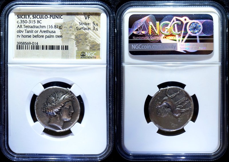 古代カルタゴ領シチリア Tetradrachm銀貨 女神タニット NGC VF 5/5 3/5 - 名古屋 創業65年 時遊屋 古銭・アンティークコイン ・切手専門店