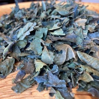 自然栽培桑の葉茶