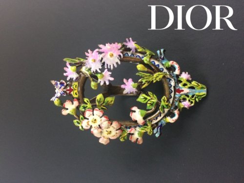 Dior ǥå
