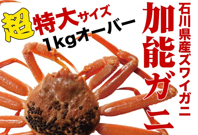 冬季限定(11月9*日〜3月20日)】中サイズ400g前後 茹で加能ガニ(ずわい蟹石川県産) 1杯 ※早期事前ご予約承り中 - takesyou