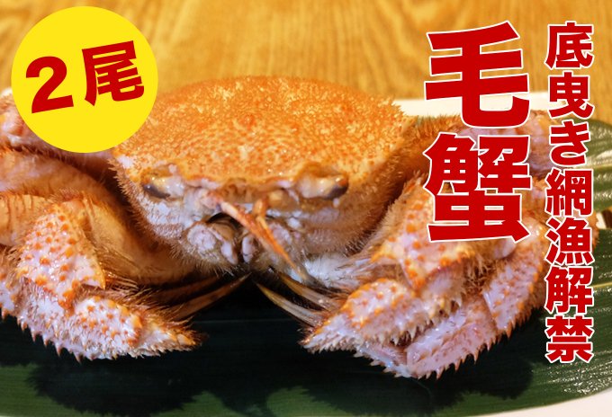 【底曳網漁解禁！】石川県産　毛蟹　2尾　約800g
