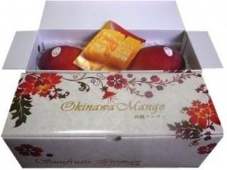 専用❤みかん❤超暖か柔ふわ★Wボア⭐特大ブランケット♥マンゴー 沖縄産 特Aアップルマンゴー - 【送料無料】沖縄マンゴー直売