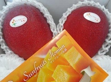 摘果マンゴー1 送料無料】沖縄産 サンフルーツ糸満 アップルマンゴー1kg (2