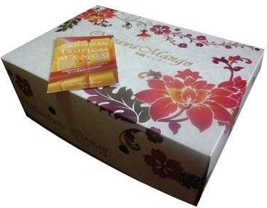 送料無料】沖縄産 サンフルーツ糸満 アップルマンゴー2kg (3