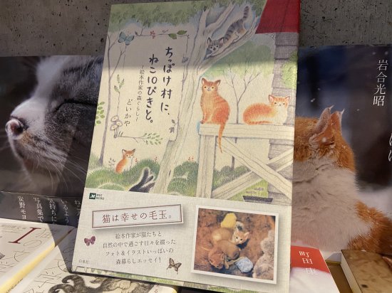 ちっぽけ村に、ねこ10ぴきと。 〜絵本作家の森ぐらし〜 文学・小説