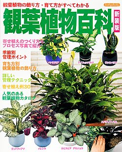 【書籍】観葉植物百科　新装版 (K22)の商品画像