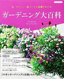 数奇の庭などシリーズ6冊セット　専門書 数奇の庭などシリーズ6冊セット 専門書 本