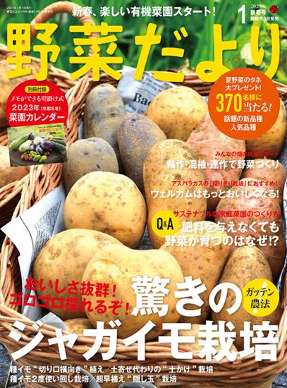 【書籍】野菜だより2023年1月新春号(112301)の商品画像
