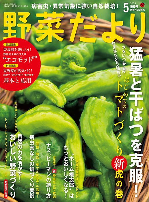 【書籍】野菜だより2024年5月初夏号(112405)ーブティック社オンラインショップ