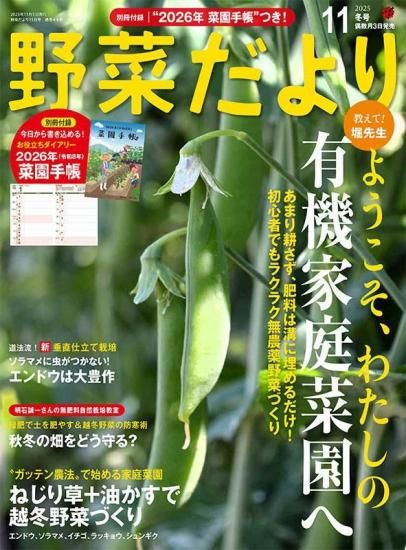 ڽҡڤ2025ǯ11߹(112511) ξʲ
