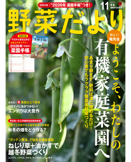 ڽҡڤ2025ǯ11߹(112511)<img class='new_mark_img2' src='https://img.shop-pro.jp/img/new/icons14.gif' style='border:none;display:inline;margin:0px;padding:0px;width:auto;' />ξʲ