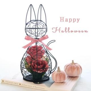 <img class='new_mark_img1' src='https://img.shop-pro.jp/img/new/icons14.gif' style='border:none;display:inline;margin:0px;padding:0px;width:auto;' />ǭΥե󥸥 ѥץդʥϥ