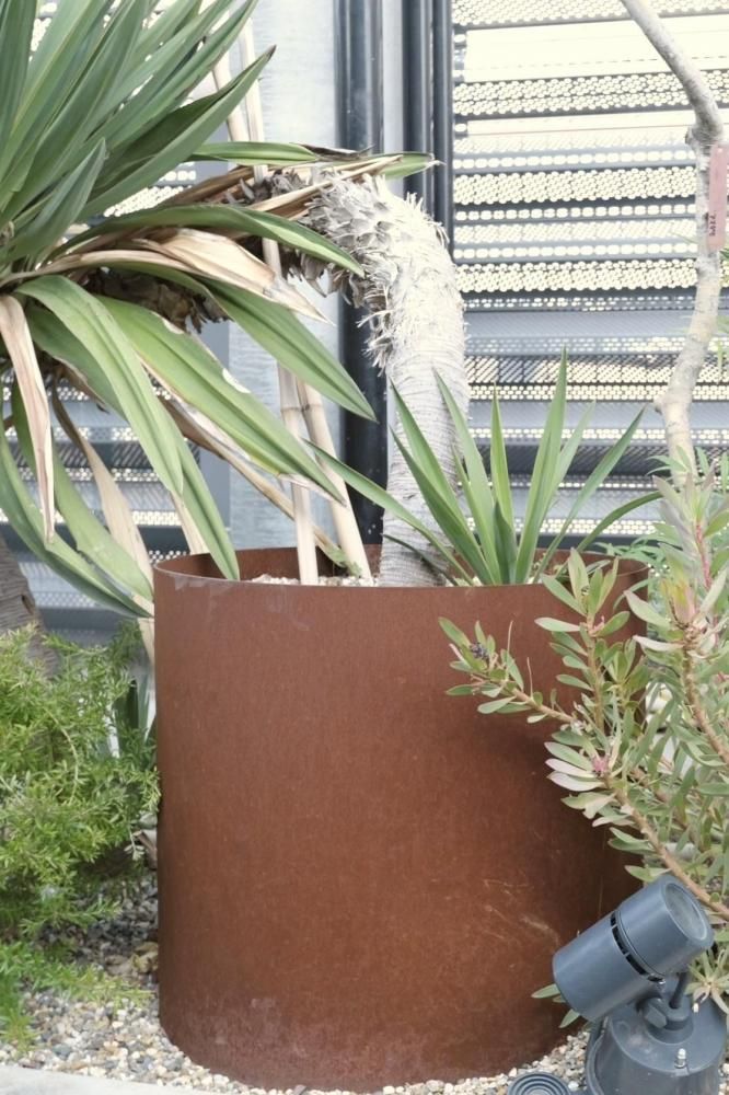 ڼʡORIGINAL PLANTER circle