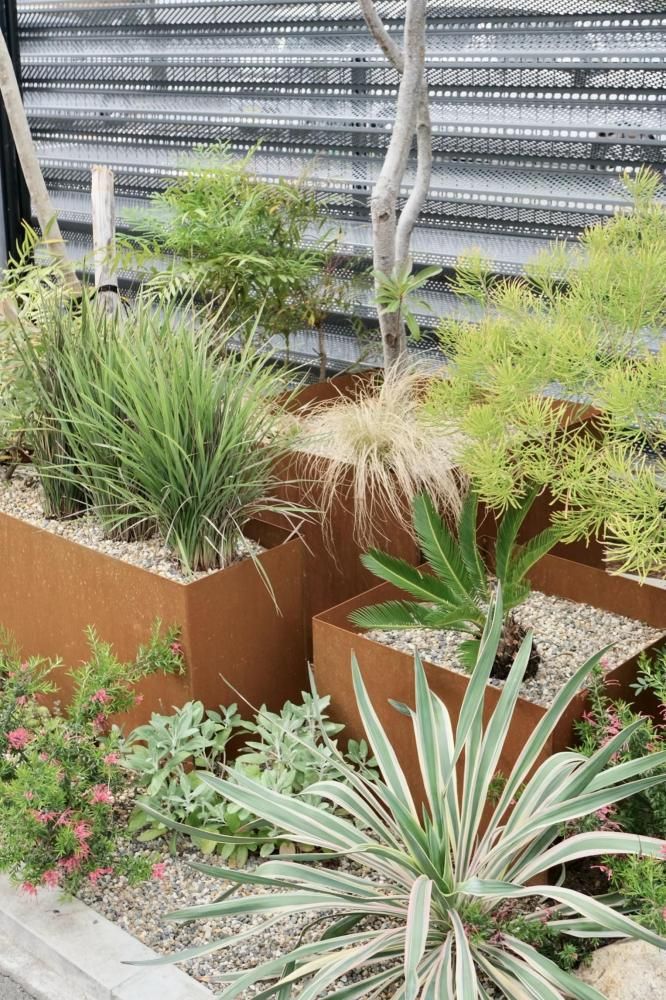 ڼʡORIGINAL PLANTER square