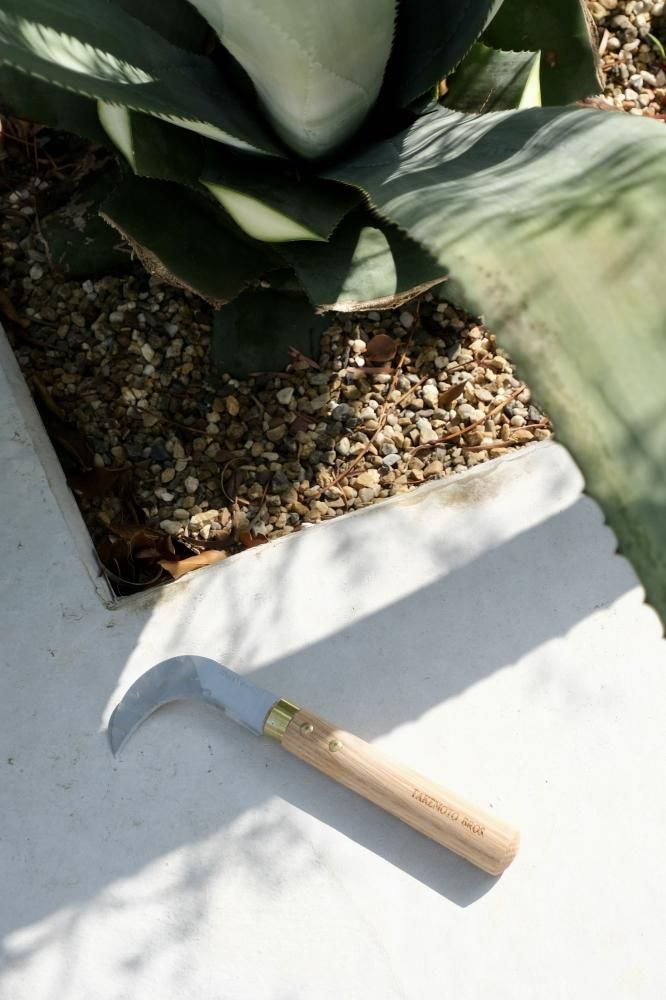 Agave / Mushroom Sickle