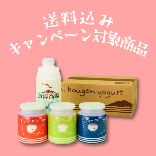 11/412/19ߥեȥڡоݡۥ衼ȥåY-03