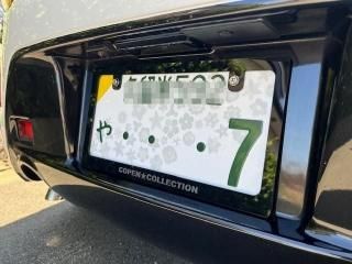 COPENCOLLECTION ʥСե졼