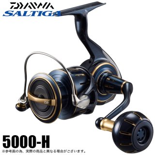  23 ƥ 5000-H (2023ǯǥ) ԥ˥󥰥꡼/ȥ륢/SW /(5)