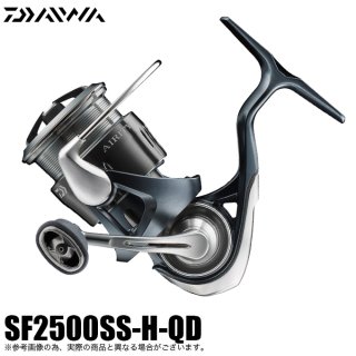  24 ƥ ST SF2500SS-H-QD (2024ǯǥ) ԥ˥󥰥꡼ /(5)