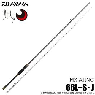  25  MX  66L-S (󥰥å) ԥ˥󥰥ǥ/2025ǯǥ/饤ȥ /(5) ڦ05