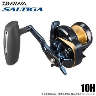  25 ƥ 10H ϥɥ (2025ǯǥ) 󥰥꡼/٥ȥ꡼/ξ꡼ /(5) ڦ01