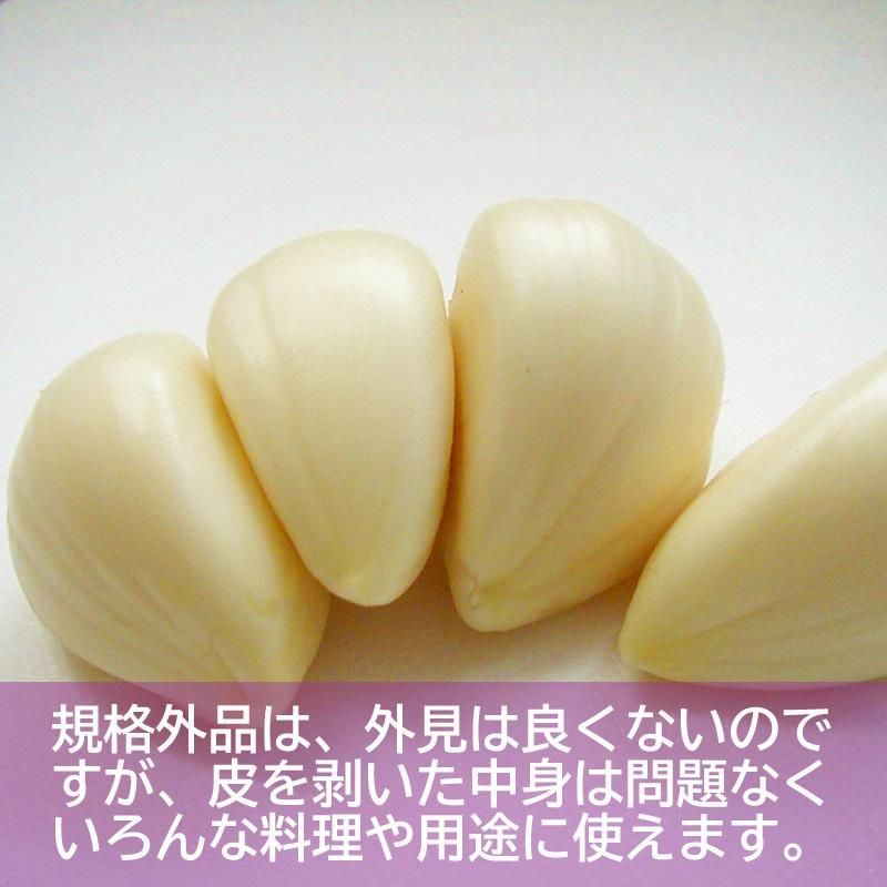 にんにく君 田子ホワイトにんにく 福地ホワイト六片種 Mサイズ 1kg［特選品］