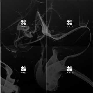 BTS 2nd Album/WINGS(CD) (W ver.)BTS<img class='new_mark_img2' src='https://img.shop-pro.jp/img/new/icons61.gif' style='border:none;display:inline;margin:0px;padding:0px;width:auto;' />