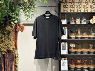 <img class='new_mark_img1' src='https://img.shop-pro.jp/img/new/icons5.gif' style='border:none;display:inline;margin:0px;padding:0px;width:auto;' />SISELINE T-SHIRTS (BLACK)