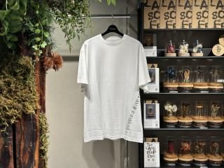 <img class='new_mark_img1' src='https://img.shop-pro.jp/img/new/icons5.gif' style='border:none;display:inline;margin:0px;padding:0px;width:auto;' />SISELINE T-SHIRTS (WHITE)