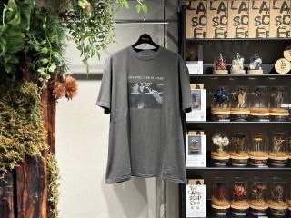 <img class='new_mark_img1' src='https://img.shop-pro.jp/img/new/icons5.gif' style='border:none;display:inline;margin:0px;padding:0px;width:auto;' />Insonnia PROJECTSJOY DIVISION "LOVE WILL TEAR US APART" TEE (BLACK)