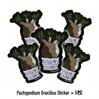 <img class='new_mark_img1' src='https://img.shop-pro.jp/img/new/icons29.gif' style='border:none;display:inline;margin:0px;padding:0px;width:auto;' />TRILLGREEN ORIGINAL STICKER  GRACILIUS
  5SET