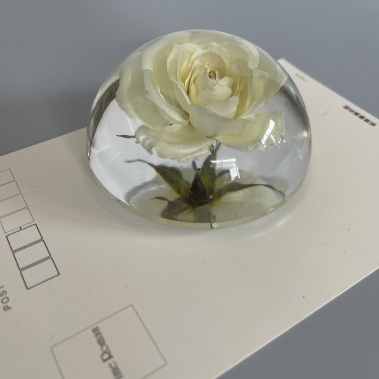 本物のバラをキラキラ半円ドーム型で楽しむ花のペーパーウエイト バラ