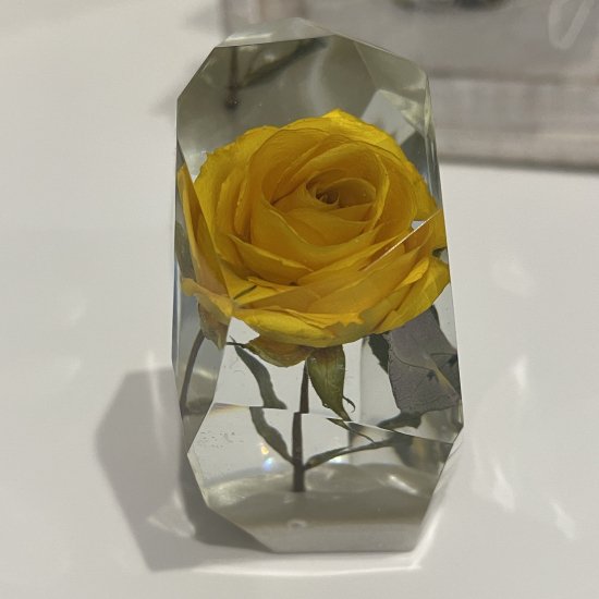 本物のバラをキラキラ透明鉱石型で楽しむ花のペーパーウエイト バラの標本
