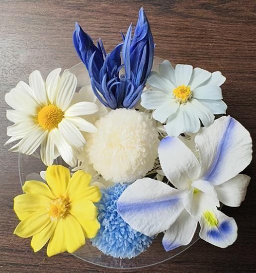 ä ֺ ե ץꥶ֥ɥե <img class='new_mark_img2' src='https://img.shop-pro.jp/img/new/icons14.gif' style='border:none;display:inline;margin:0px;padding:0px;width:auto;' />