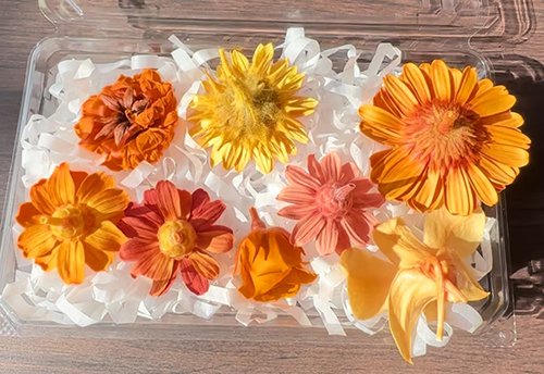 カラーオレンジ セット プリザーブドフラワー 花材 | アジアンＥ雑貨