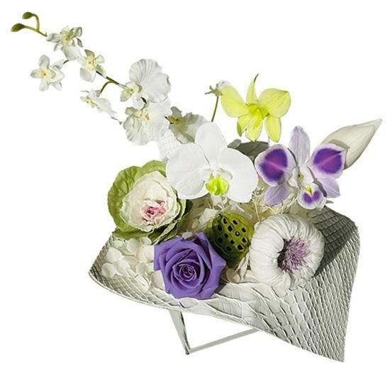 ���� ��ĳ������� �ֻ��ߥ��å� �ץꥶ���֥ɥե� ����ƥꥢ <img class='new_mark_img2' src='https://img.shop-pro.jp/img/new/icons14.gif' style='border:none;display:inline;margin:0px;padding:0px;width:auto;' />