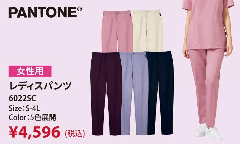 ѥȥǥѥ6022SC