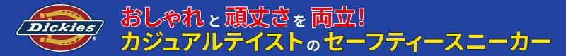 Dickies֥ɥС